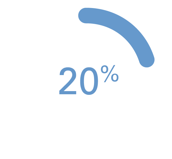 20%