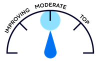 Illustration of a meter showing improving, moderate, and top. Moderate is highlighted.