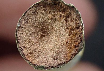 Blue building with two trees icon