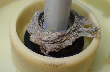 Blue building with two trees icon