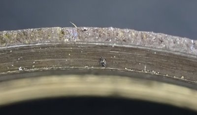 Blue building with two trees icon