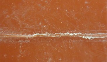 Blue building with two trees icon