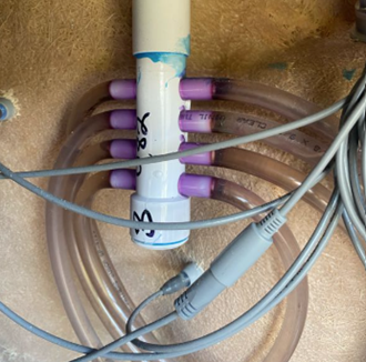 Blue building with two trees icon