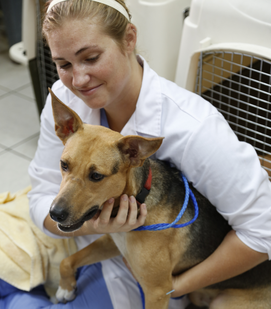 young woman in lab coat hugging brown dog