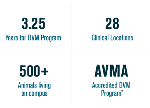 3.25 Years for DVM Program, 28 Clinical Locations, 500+ Animals living on campus, AVMA Accredited DVM Program