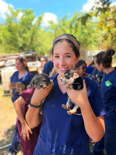 young woman in dark blue scrubs, outside in natural area, holding two puppies in each hand