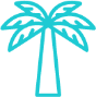 Palm tree icon