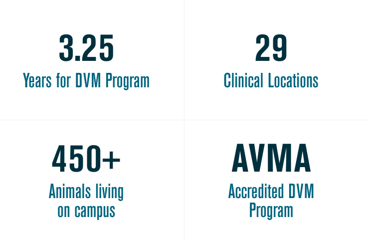 3.25 Years for DVM Program, 28 Clinical Locations, 500+ Animals living on campus, AVMA Accredited DVM Program