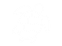 turtle icon
