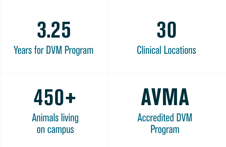 3.25 Years for DVM Program, 28 Clinical Locations, 500+ Animals living on campus, AVMA Accredited DVM Program