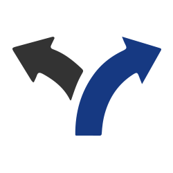 Give The Choice of Blue or Black Ink