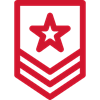 Military badge icon