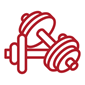 dumbbells icon
