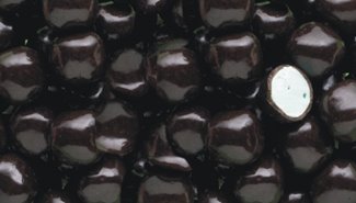 White Buttermint (BUTR)