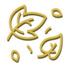Fall Leaves Icon