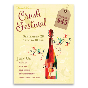 Music festival brochure example