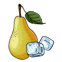 Pear and Ice sketch