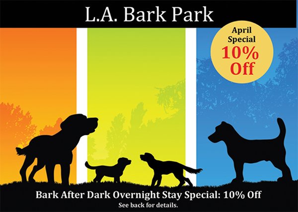 Dogpark Postard Example