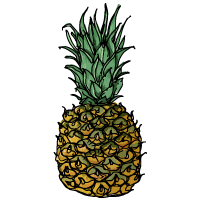 Pineapple Sketch