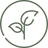 Plant based icon