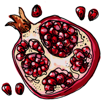 Pomergranate sketch