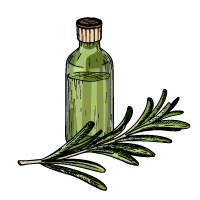 Rosemary Extract Sketch