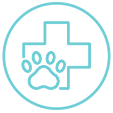 Animal Hospital Icon