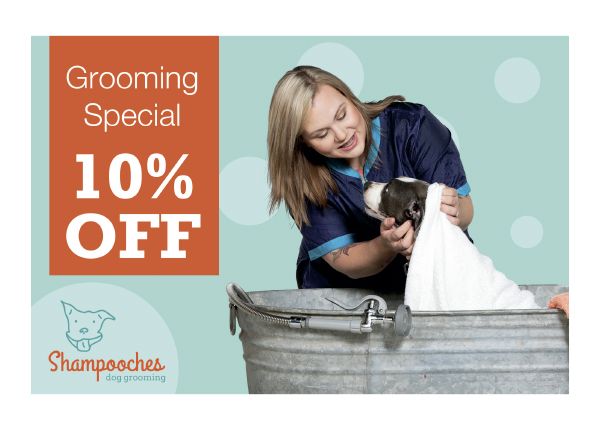 Pet Grooming postcard