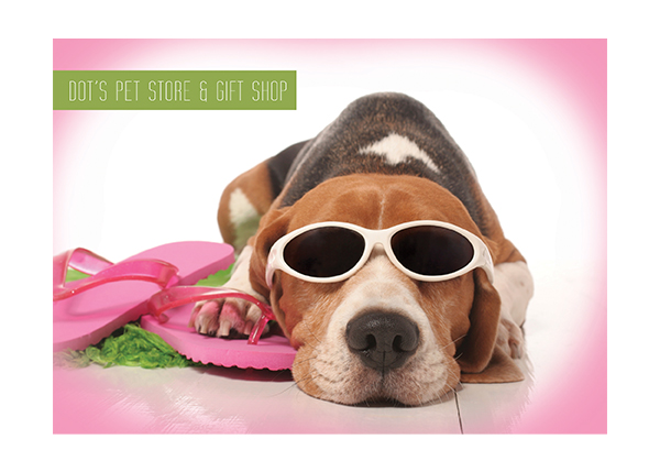 Pet Store postcard