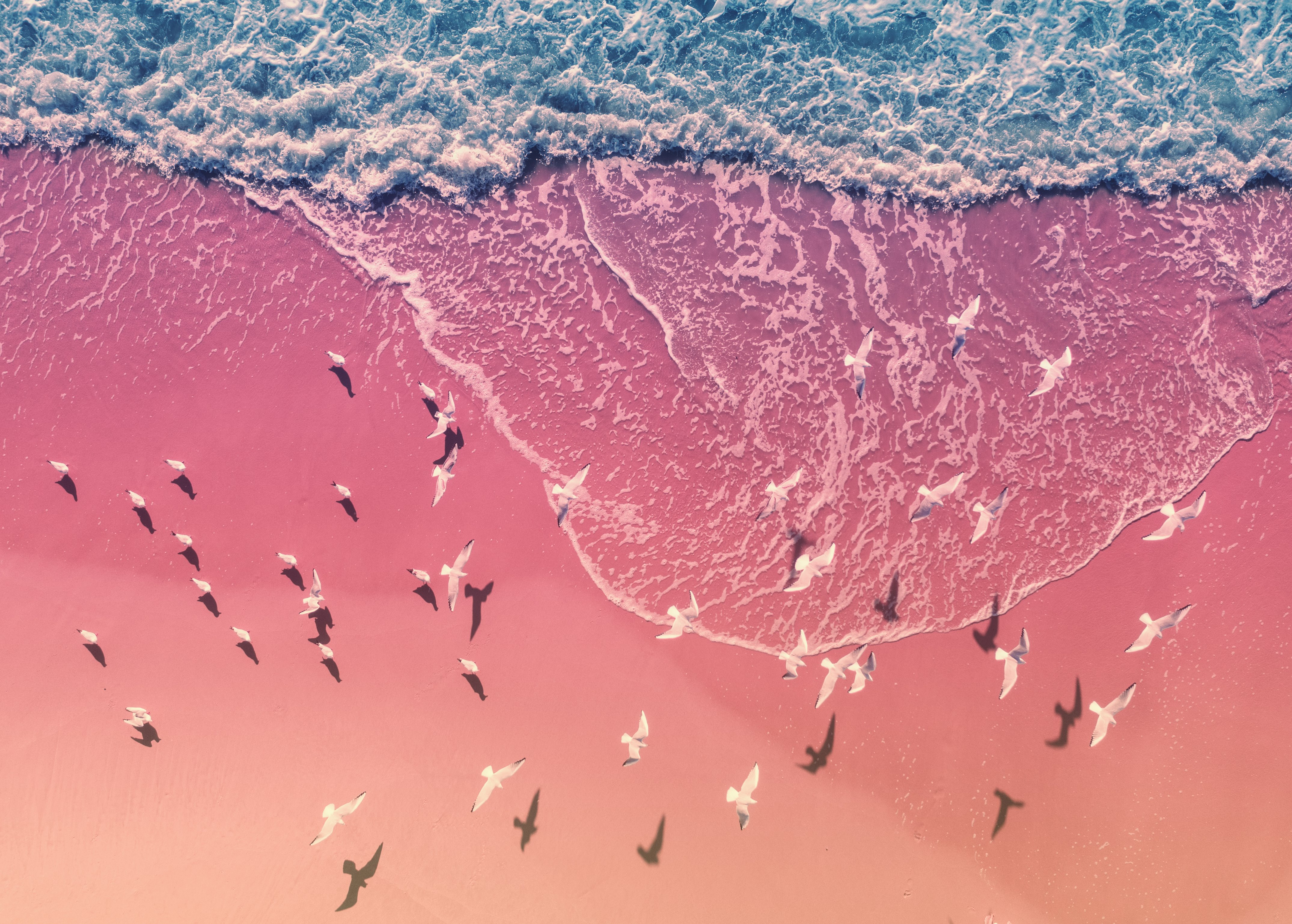 Seascape with seagulls on sandy beach.