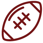 Football icon