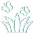 Spring Butterflies Icon
