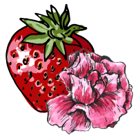 Strawberry Rose sketch