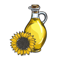 Sunflower OIl Sketch