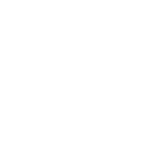 BRQ LinkedIn profile access icon