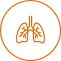 Icon illustration of lungs
