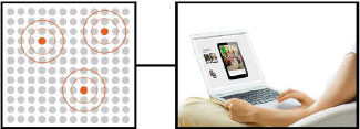 Consumers Optimize