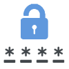 security icon